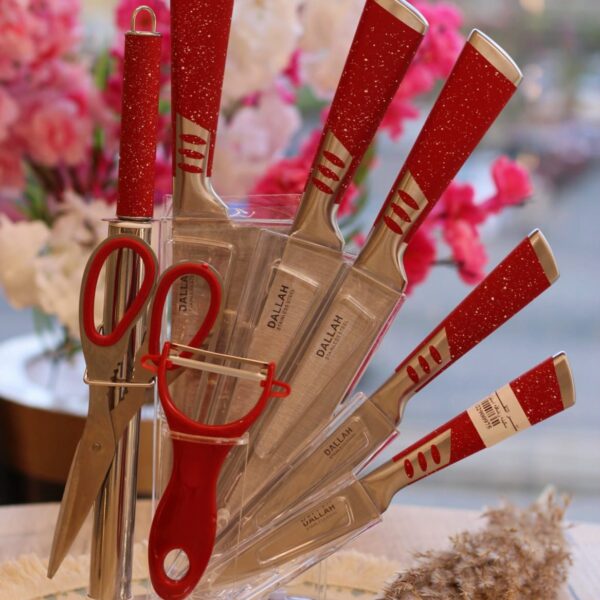 طقم سكاكين + حامل استيل 9 قطع